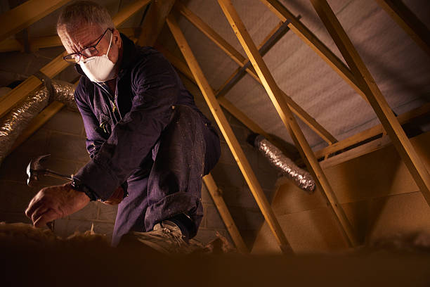 Best Insulation Replacement Services  in California, MD